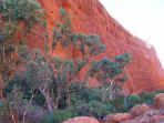 katatjuta1.jpg (51889 bytes)